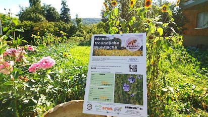 Blühfläche beim Weingut Walter Zimmer in Kernen